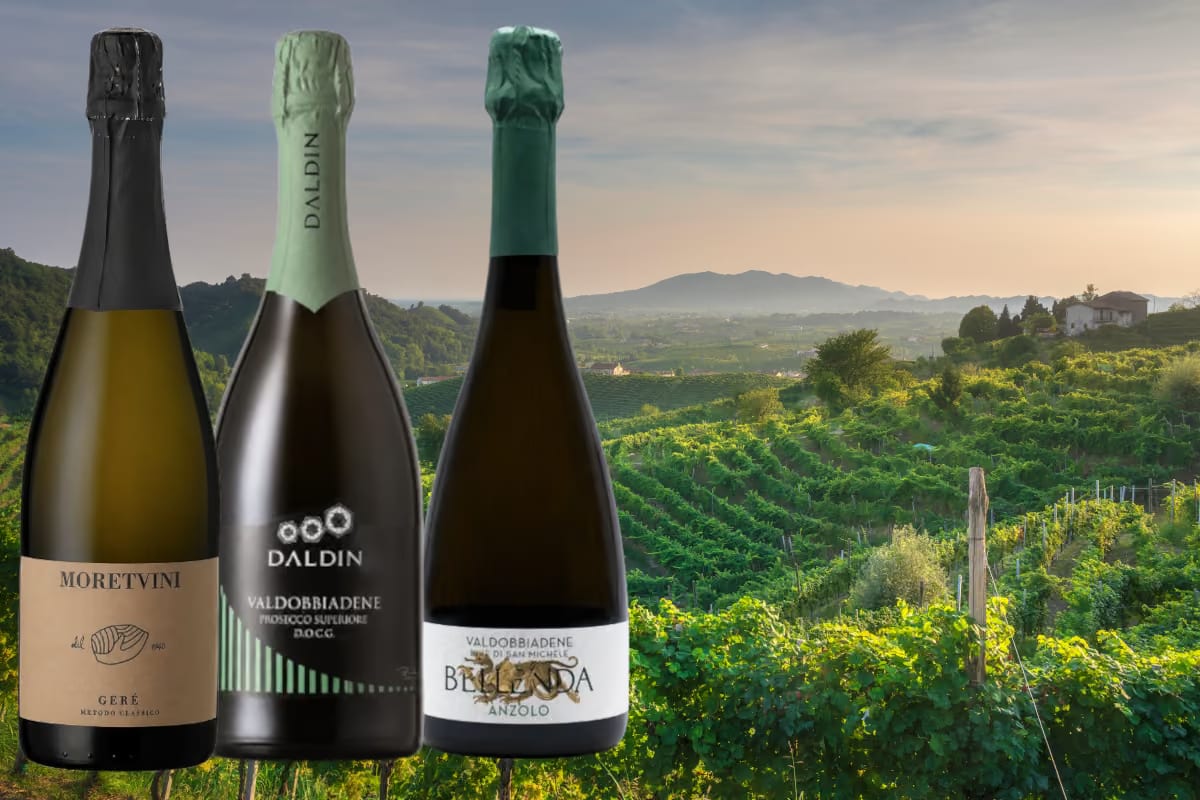 Prosecco vineyards in Valdobbiadene
