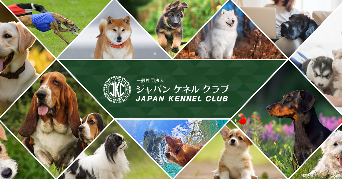 JKC Sakura Annual Show