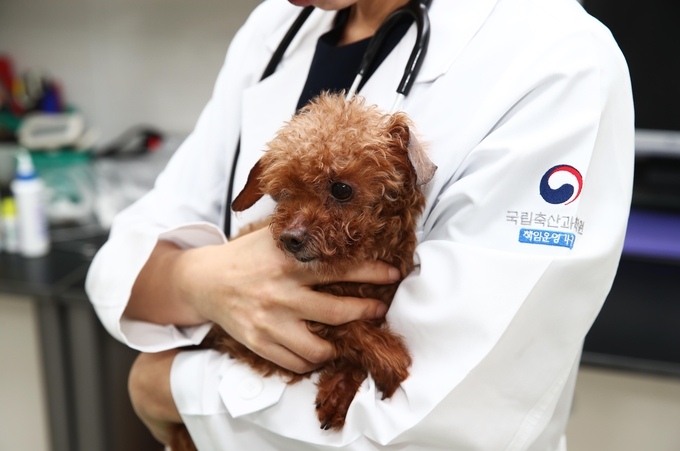 Pet Life-Stage Disease Analysis