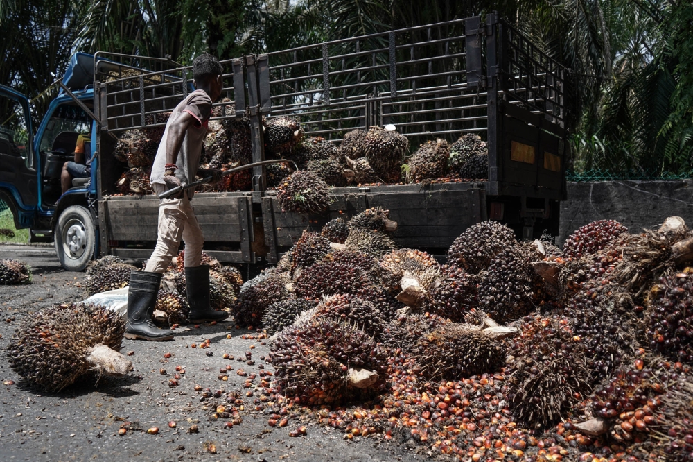 MPOB data showing palm oil stocks