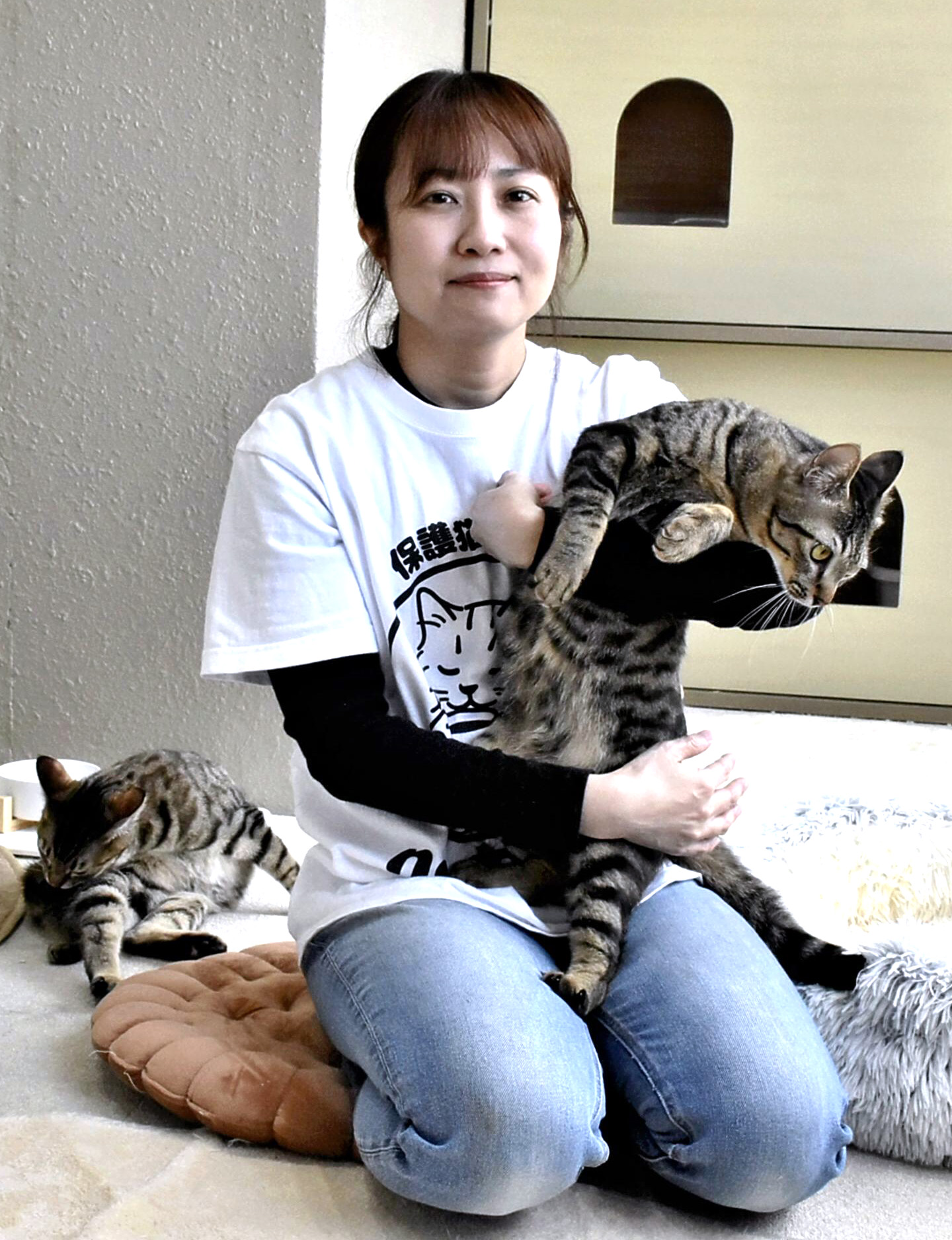 Seven rescue cats at Necoron cat cafe in Wakamatsu greet visitors