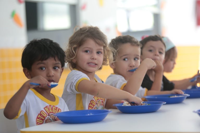 Brazilian school meal programme guidelines