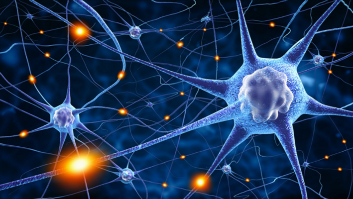 Neurons illustration