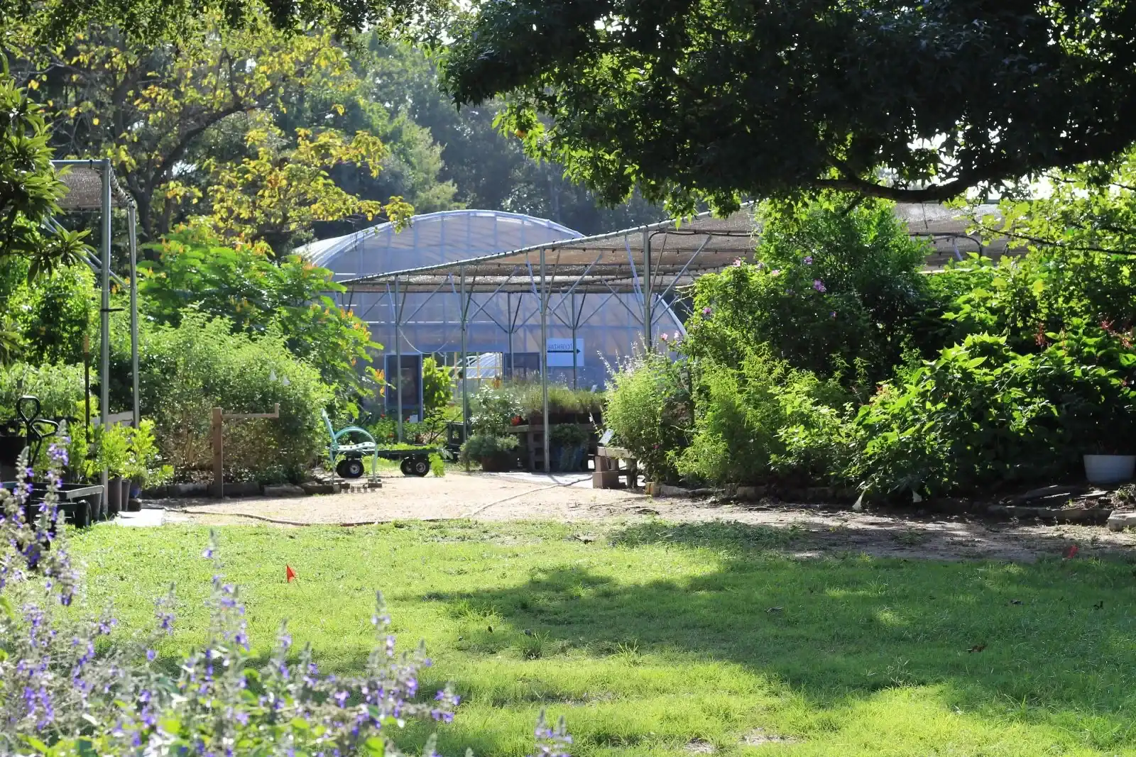 A garden bed with mulch applied in a volcano shape around a tree trunk