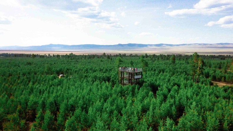 Mongolian Yuhan-Kimberly Forest restoration site