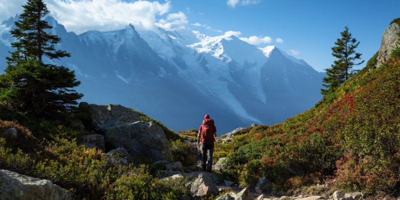 RaintreeOutdoors.com launch banner for new outdoor gear store serving fishing, camping, hiking enthusiasts