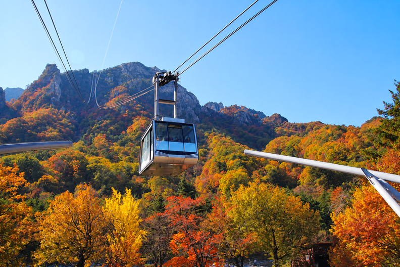 Foreign hikers exploring Korean trails