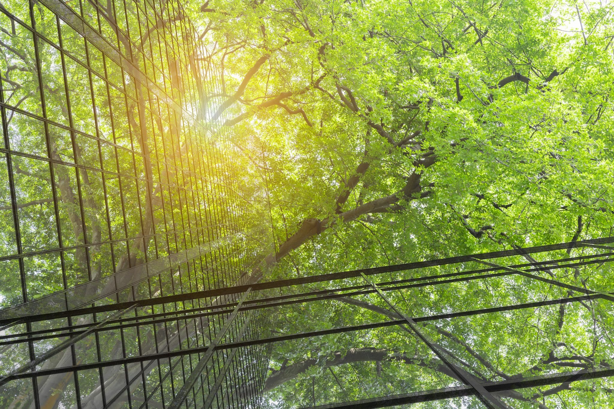 EU ETS benchmark consultation launch — European Commission moves to revise free allowance calculations for 2026–2030