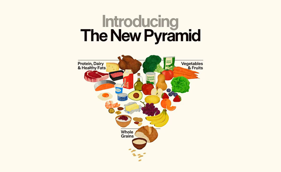 New 2026 Food Pyramid visualization used in IFIC survey on nutrition comprehension