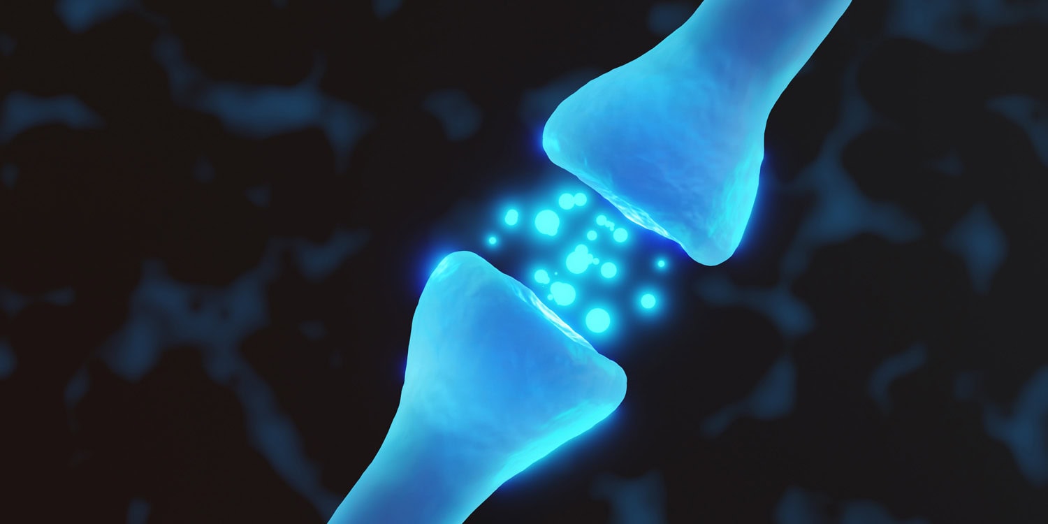 Neuroimaging data showing the spatial overlap between serotonin receptor distribution and structural differences in autism