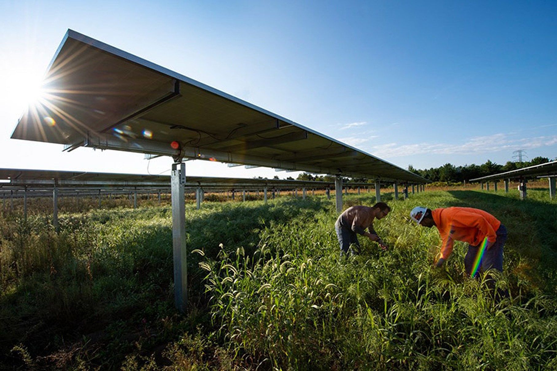 US Utility-Scale Solar Fields