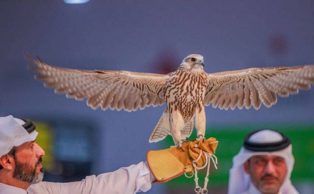 S'hail 2026 exhibition grounds in Doha