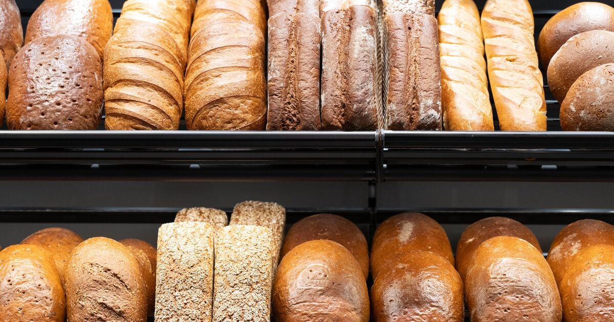 Munich Bread Inspection 2026