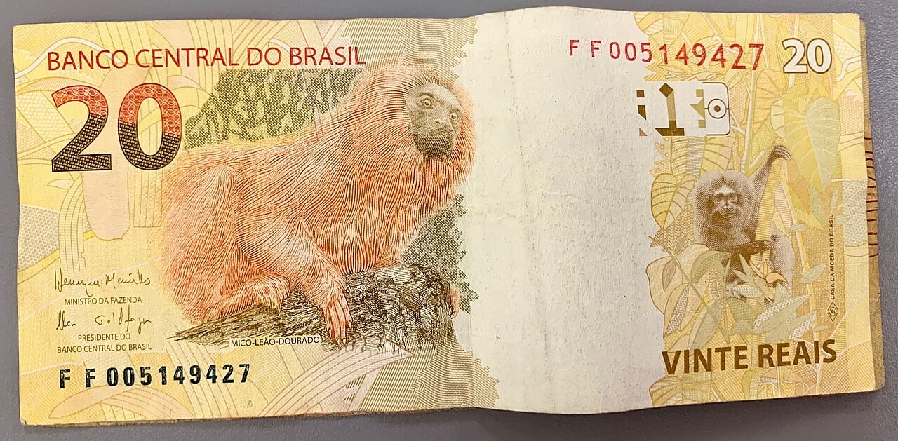 Brazilian Real Banknote