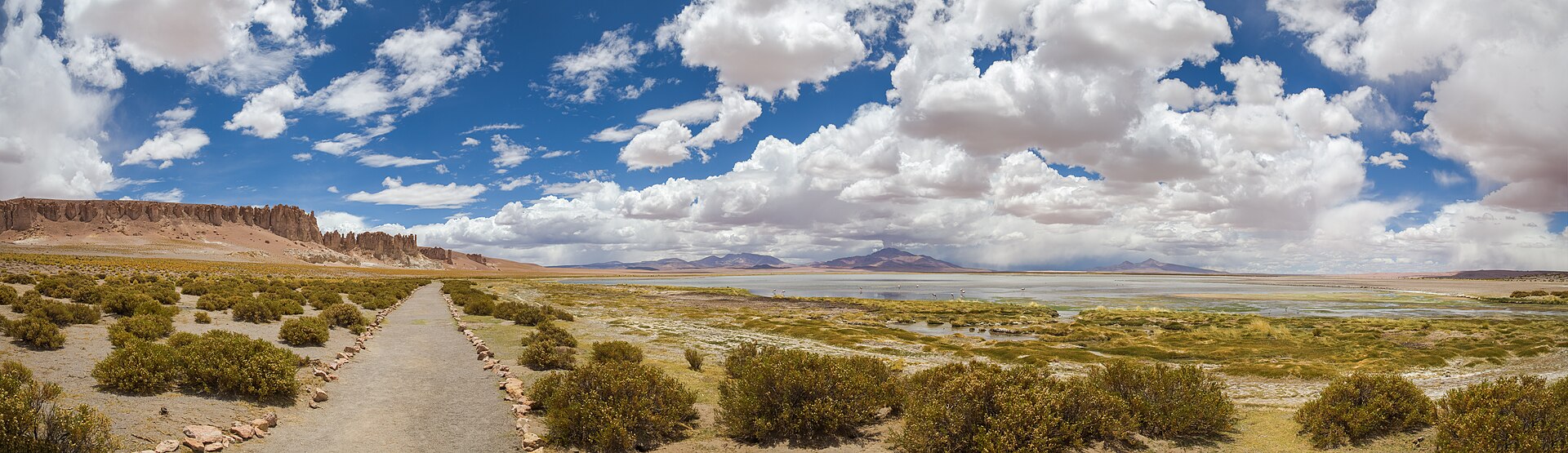 Chinese lithium carbonate futures have retreated sharply this week