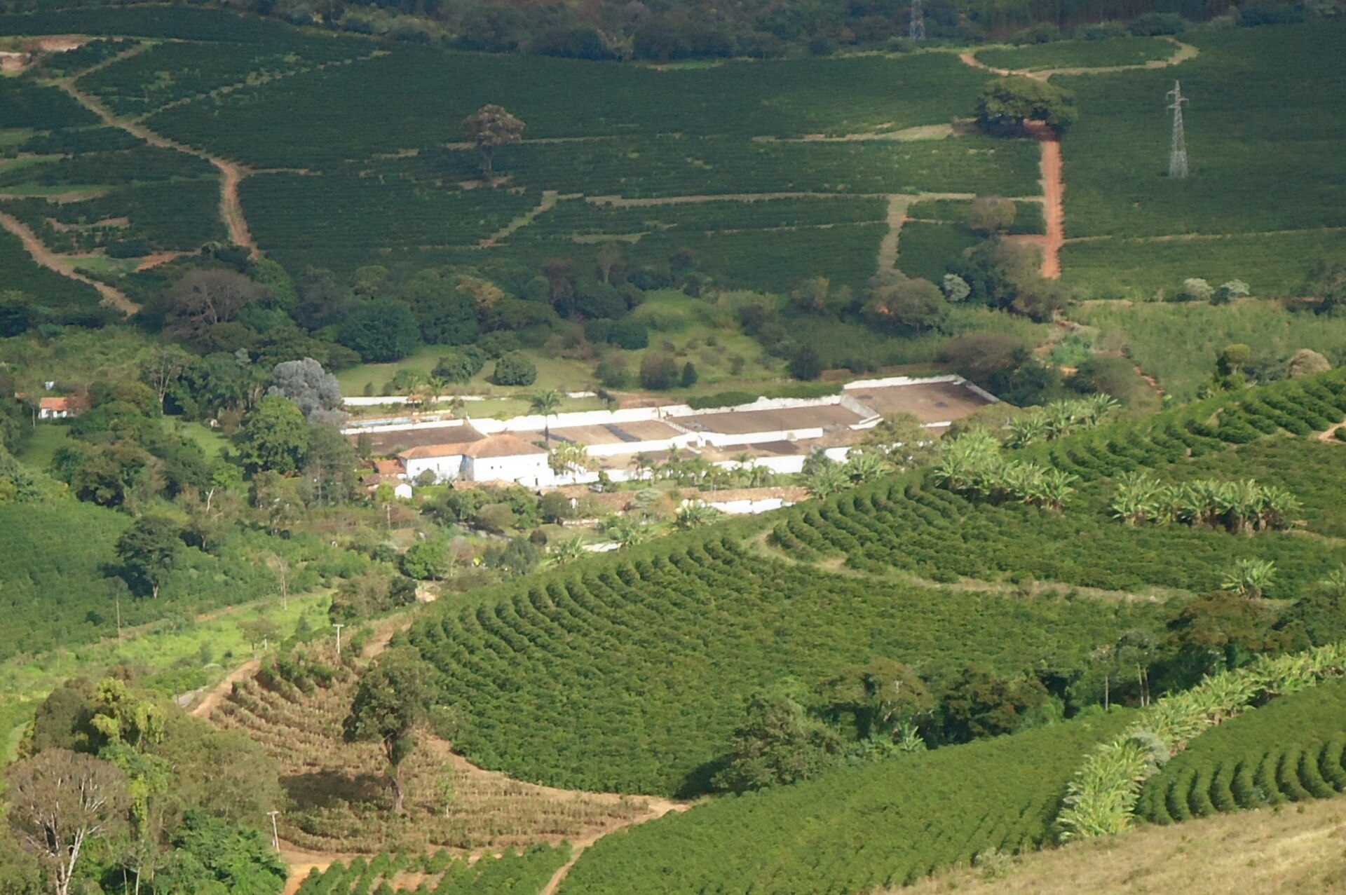 Brazil coffee exports to US rise in September 2026
