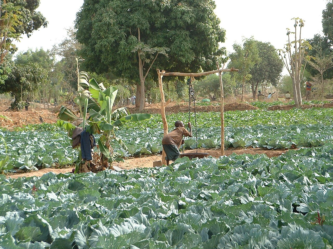 Burkina Faso irrigation plan cover image