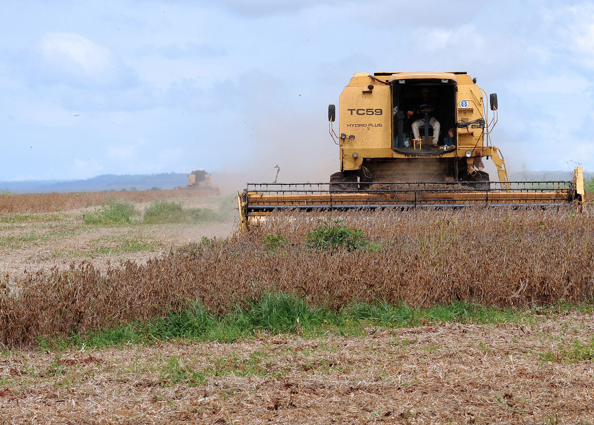 Brazilian coffee harvest operations