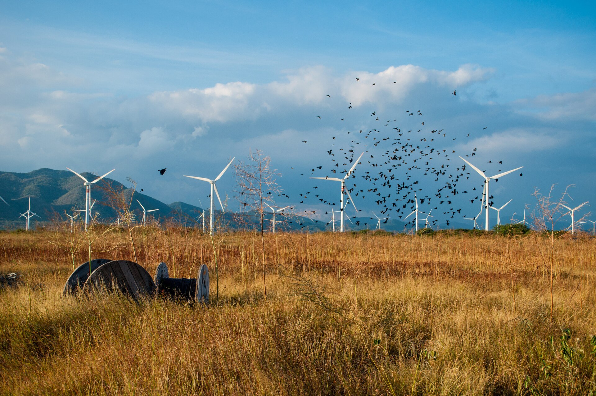 Mexico Solar and Wind Plan