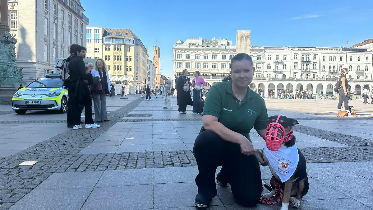 Hamburg street scene with terrier owner