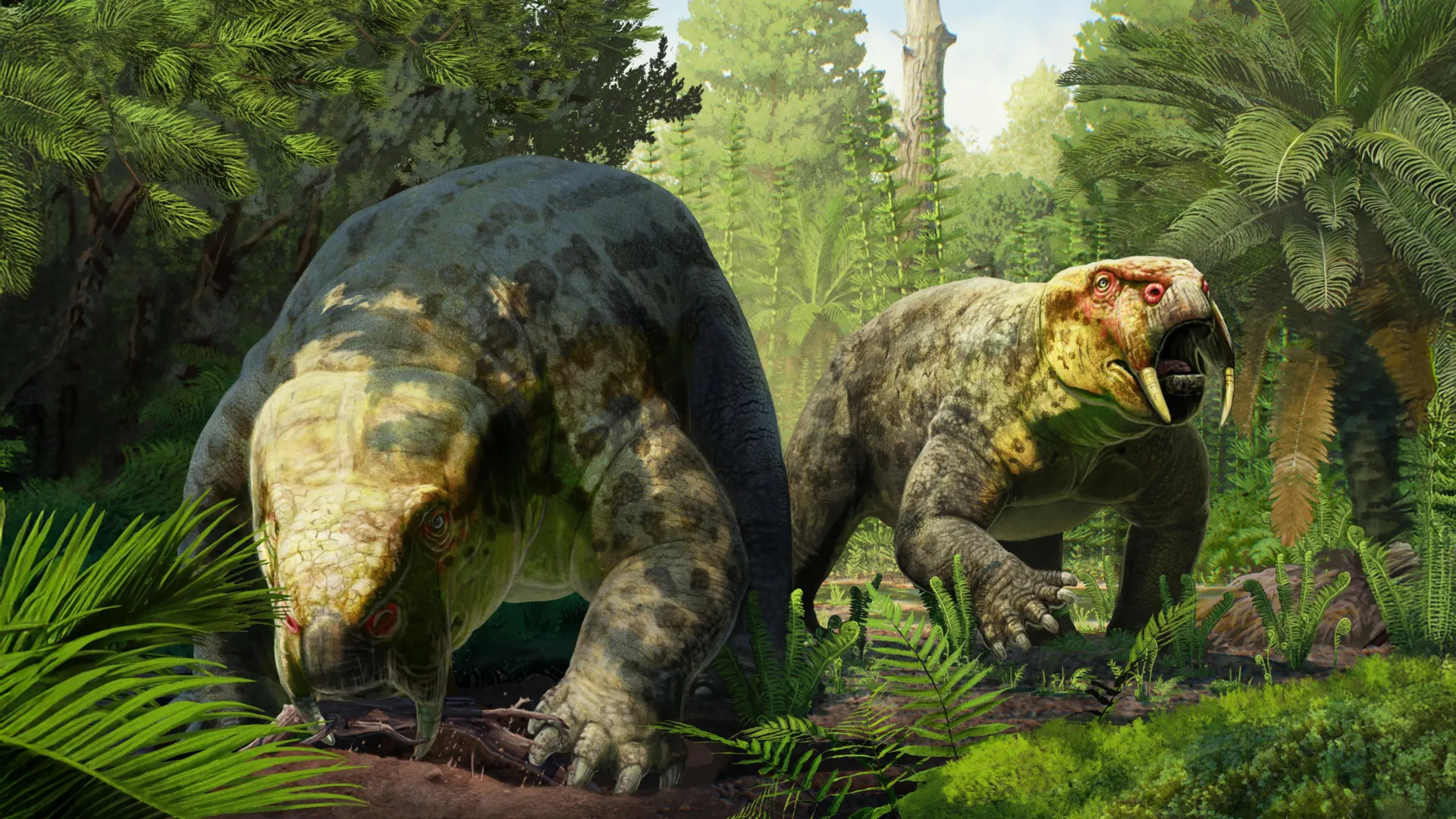 Illustration of Dinodontosaurus isiyavamanda