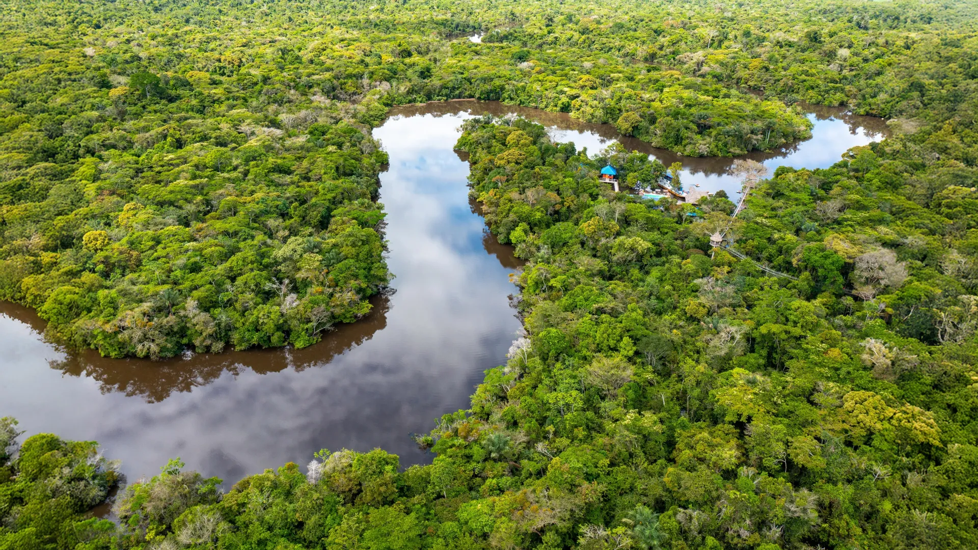 Aerial view of Amazon rainforest in Peru