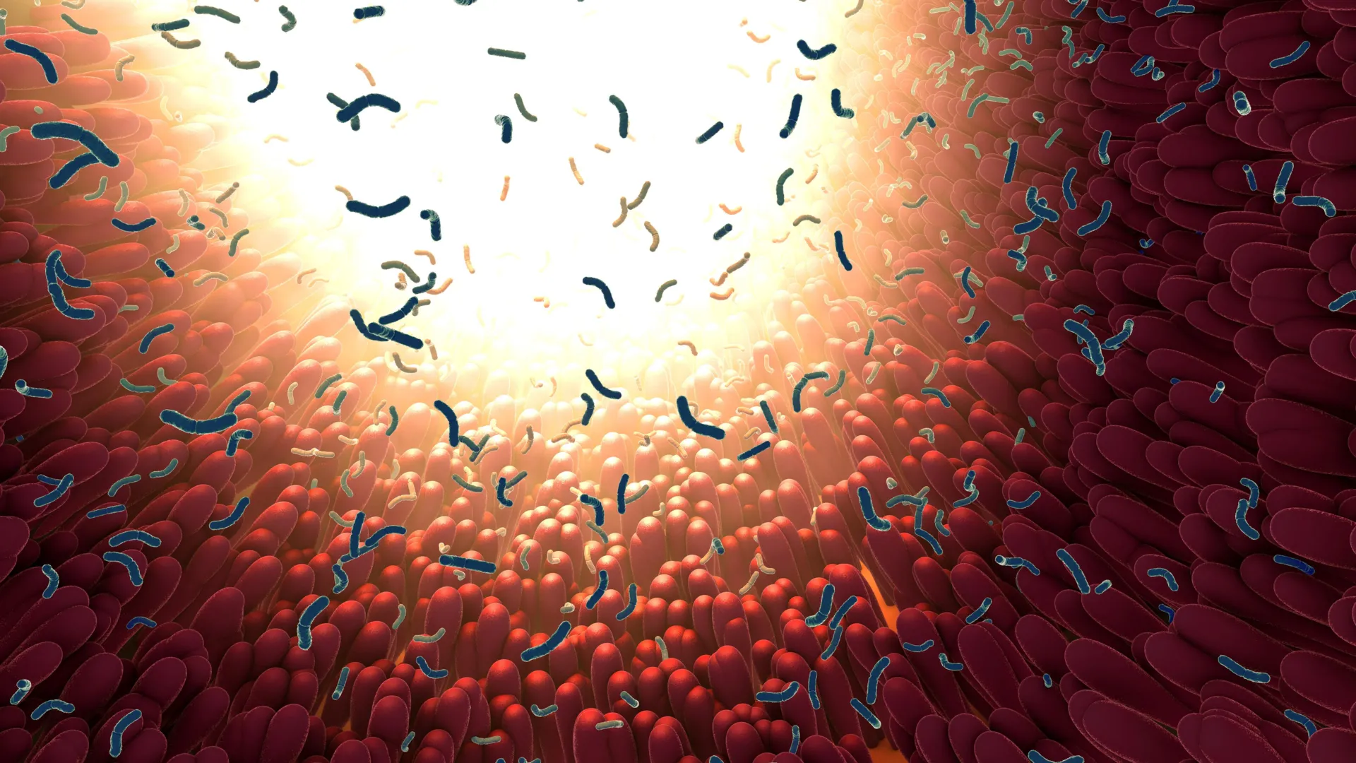 Scientific visualization of gut bacteria in the digestive tract