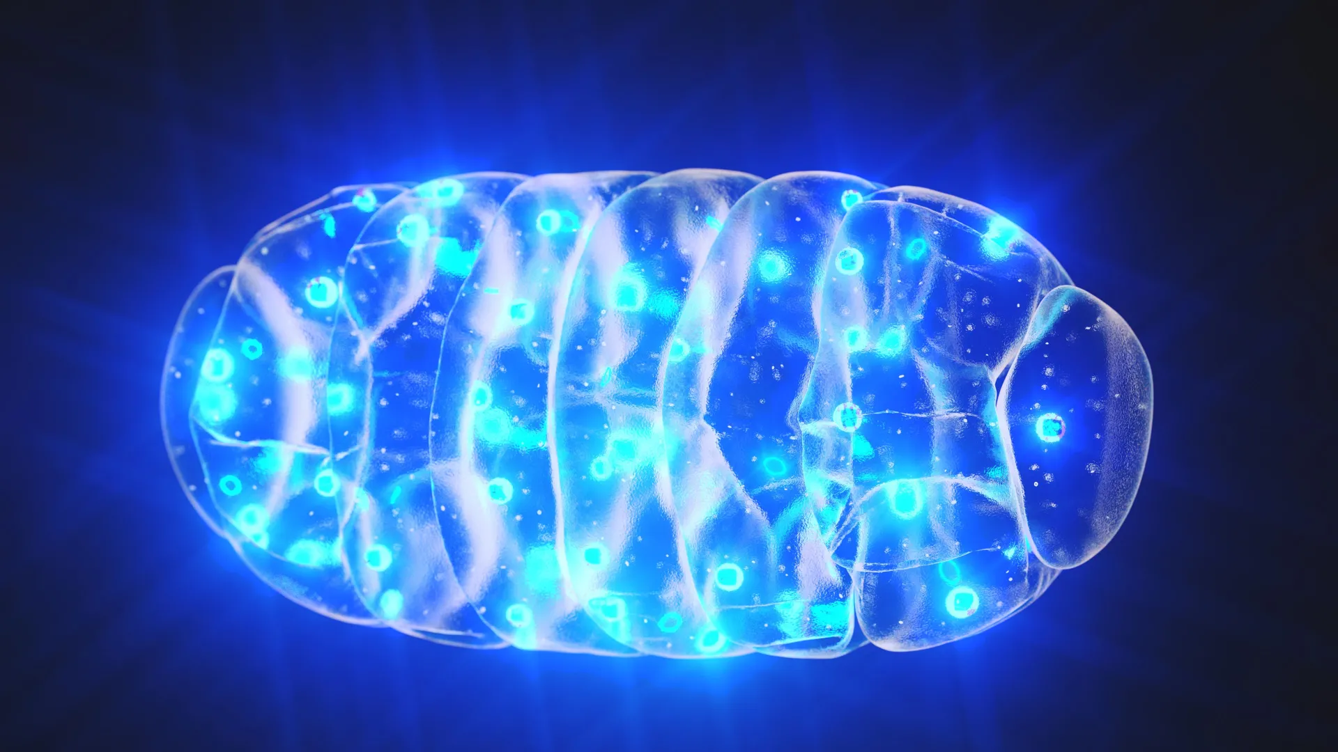 Blue light glowing mitochondria illustration