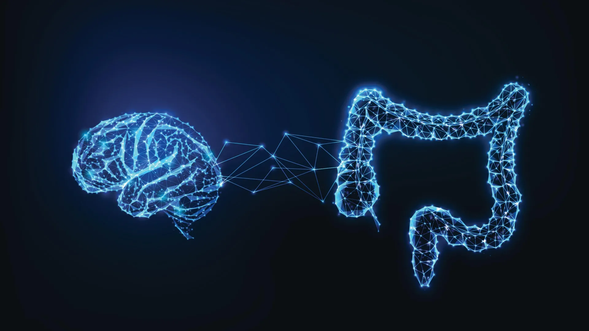 Study visualization of the brain-gut connection