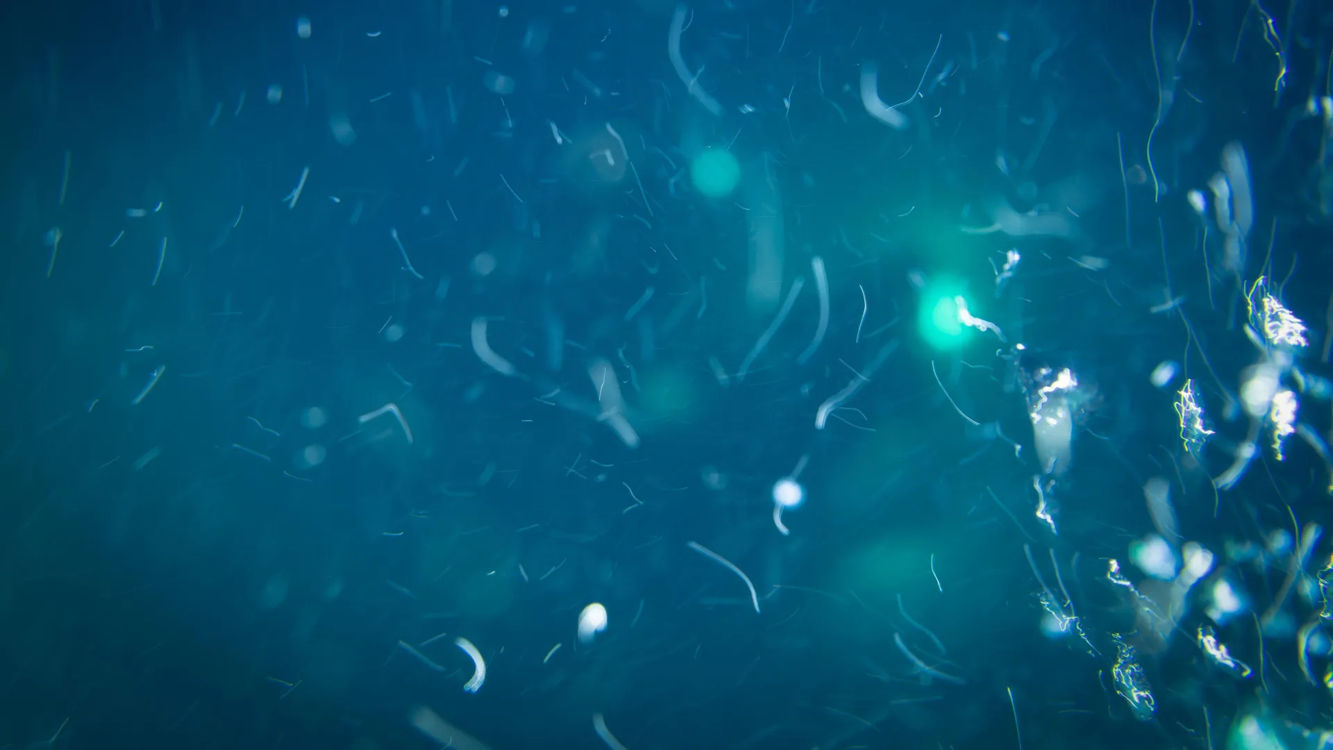 Deep-sea nutrient particles and ocean microbes interaction illustration