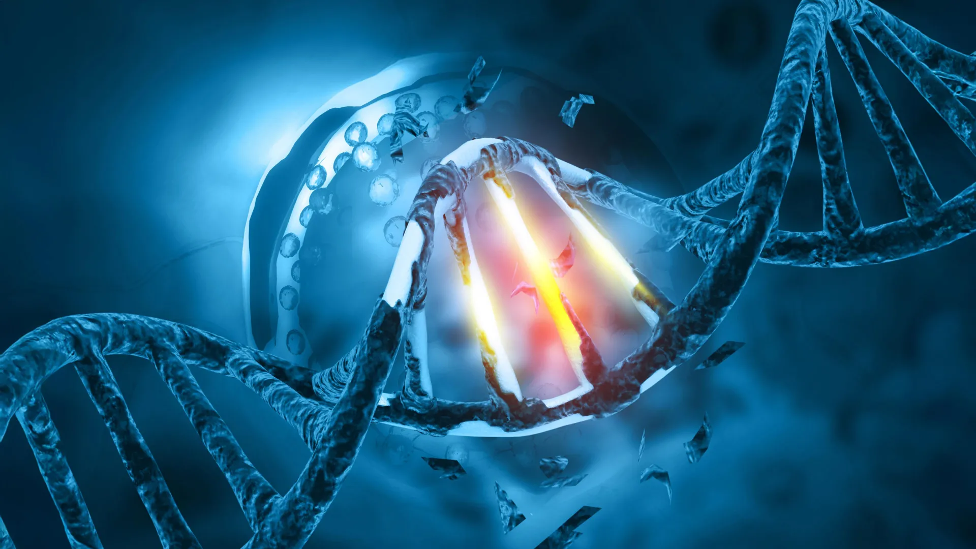 DNA damage genetic mutation