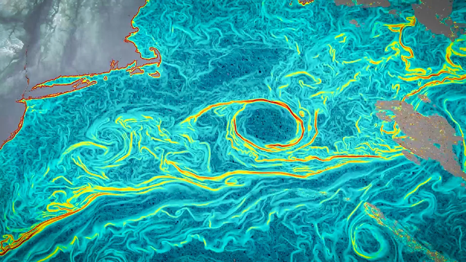 GOFLOW ocean current map derived from AI analysis of weather satellite imagery
