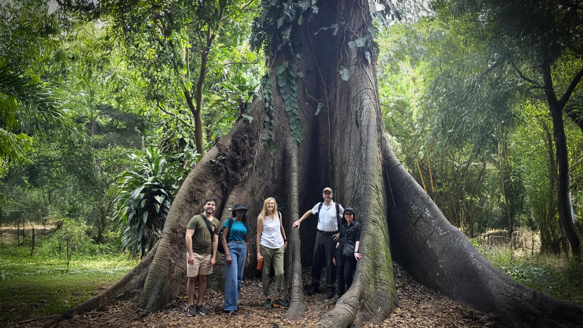 Researchers Heiko Balzter and Nezha Acil, who led the study on Africa's forest carbon reversal