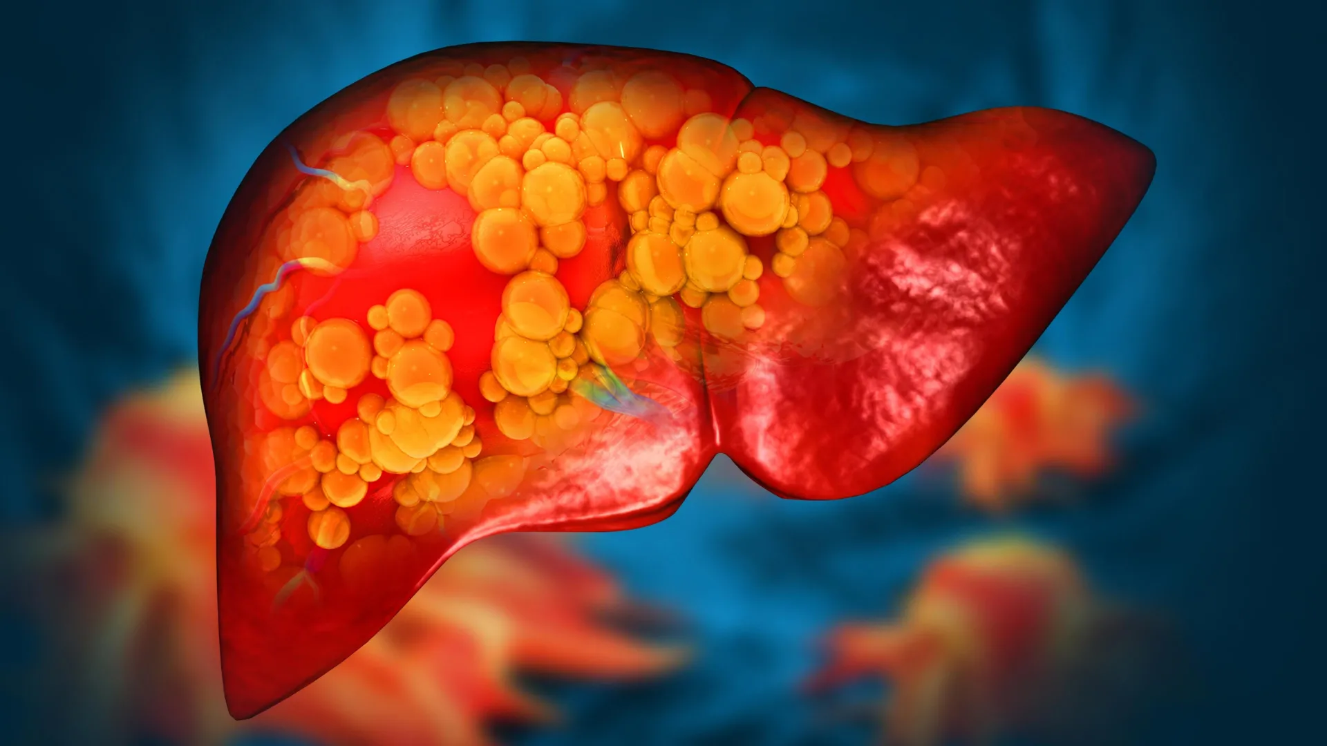 Illustration of human liver organ damage and treatment