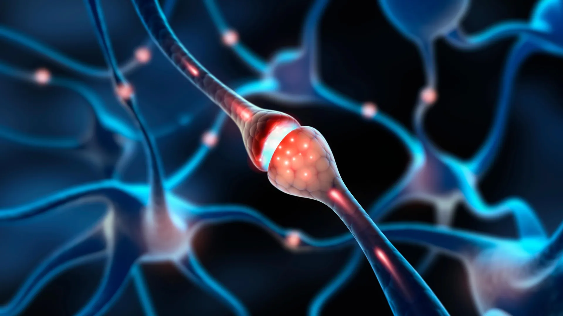 Illuminated synapse connected with interacting nerve cells