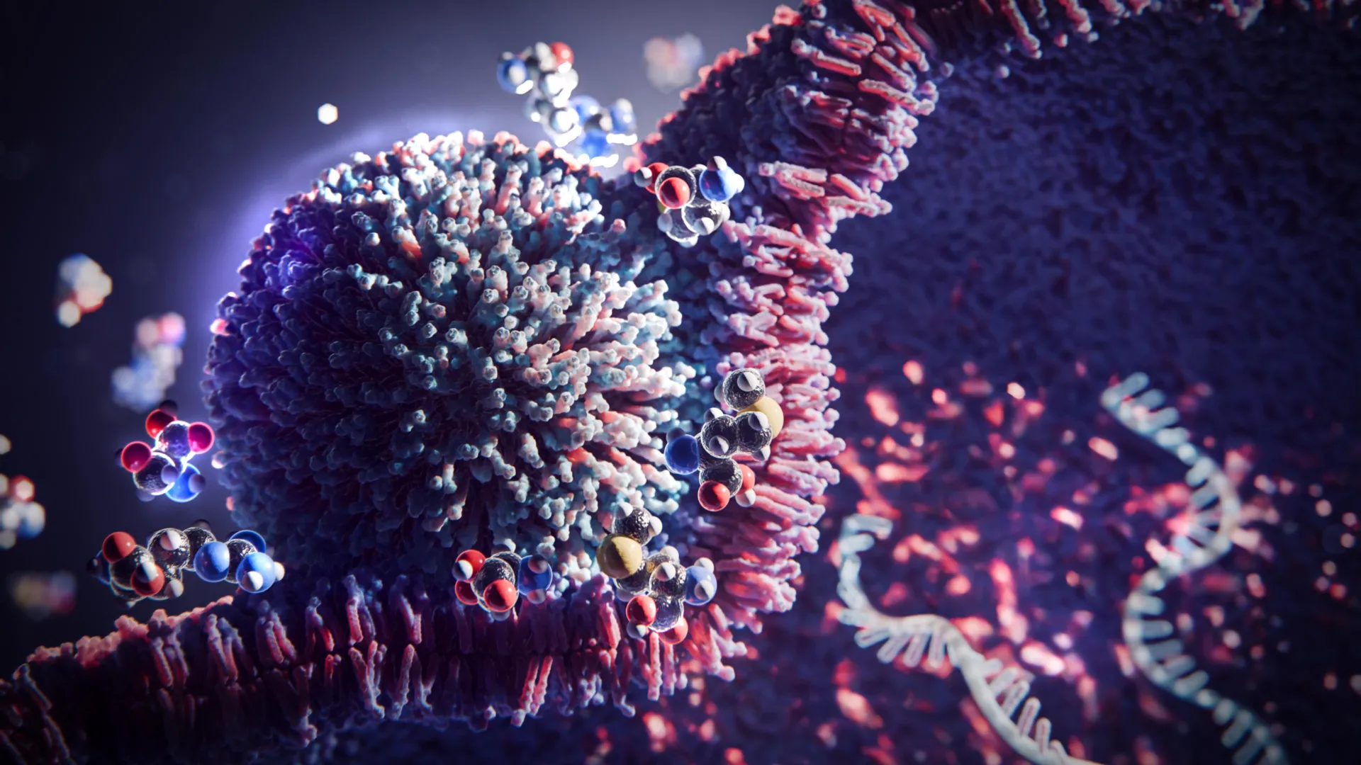 Lipid nanoparticle supplemented with amino acids fusing with cell membrane