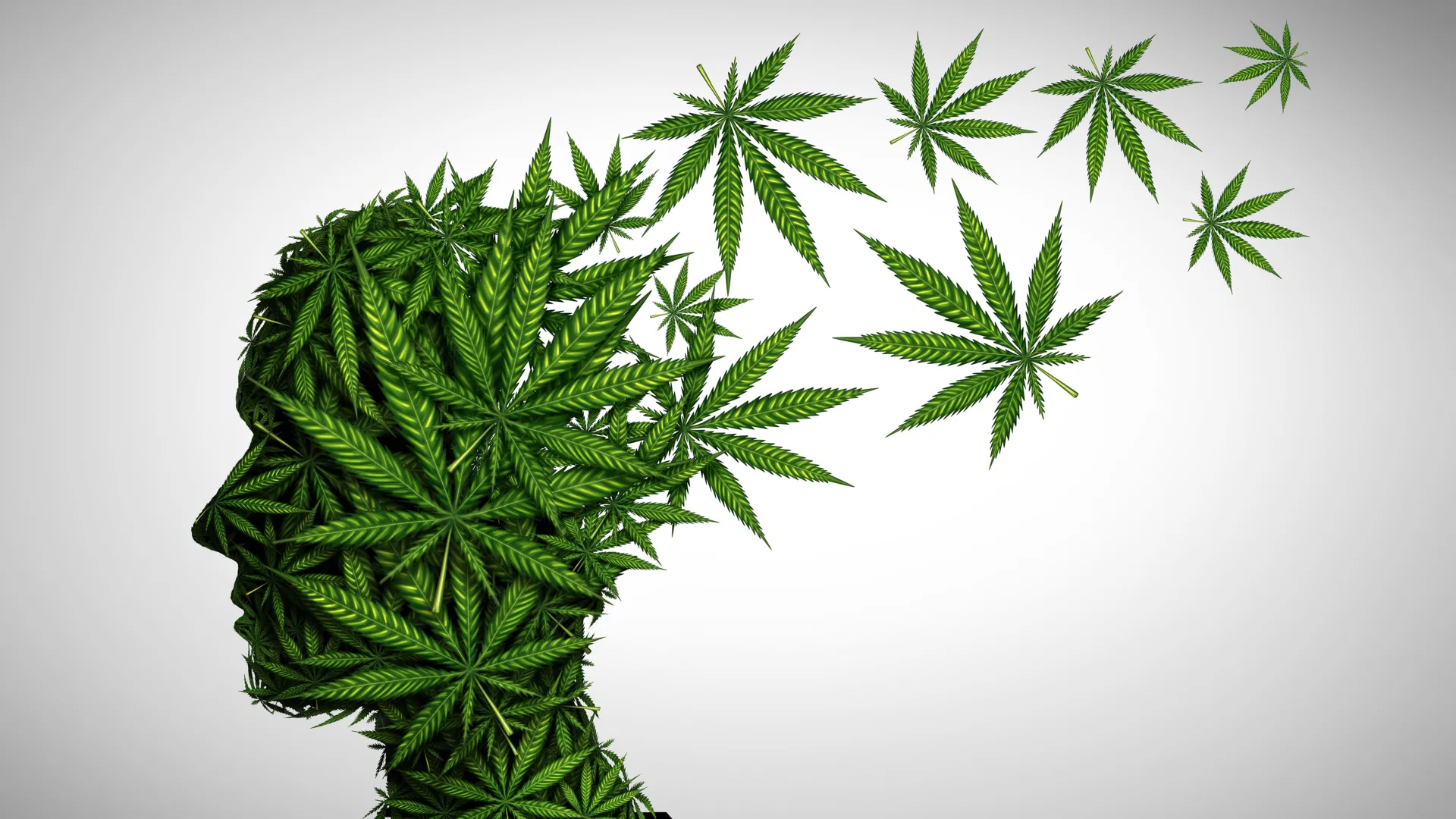 A stylized illustration showing the effects of marijuana on the adolescent brain, with neural pathways highlighted in contrasting colors