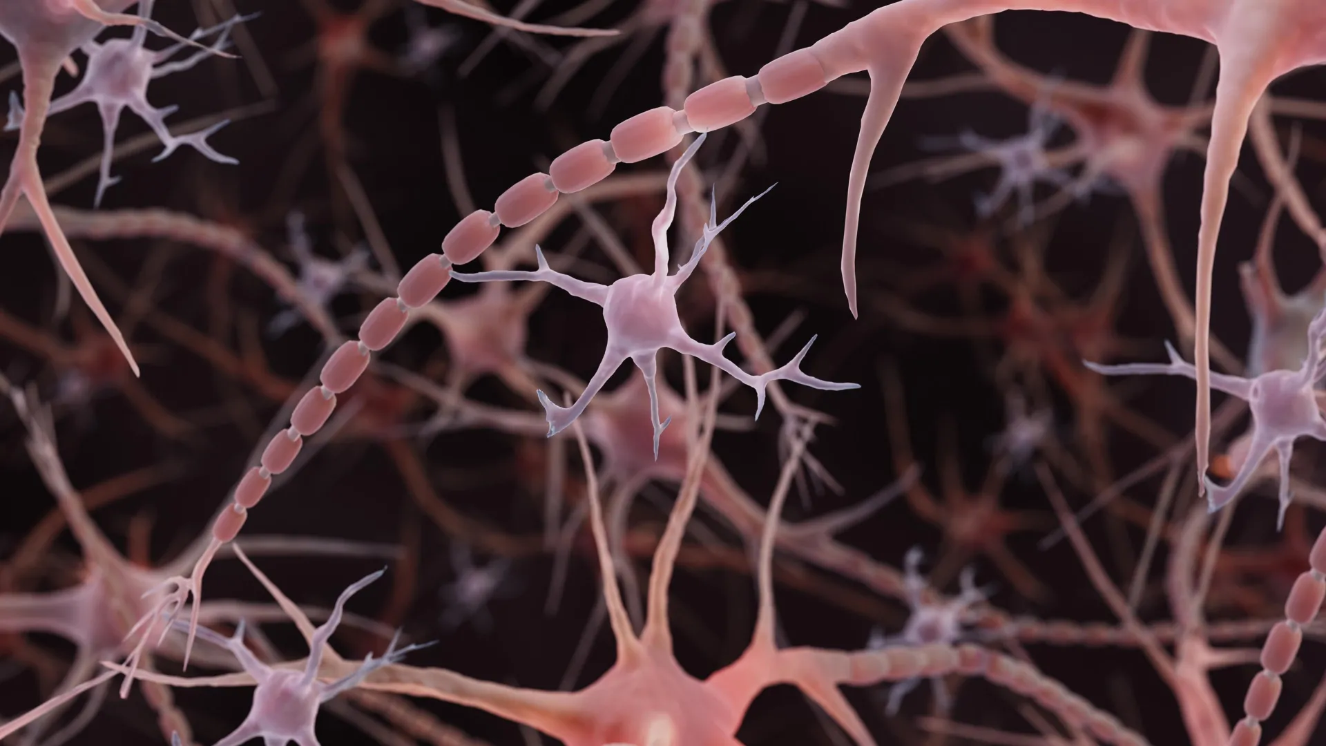 Microglia and Brain Immune Cells