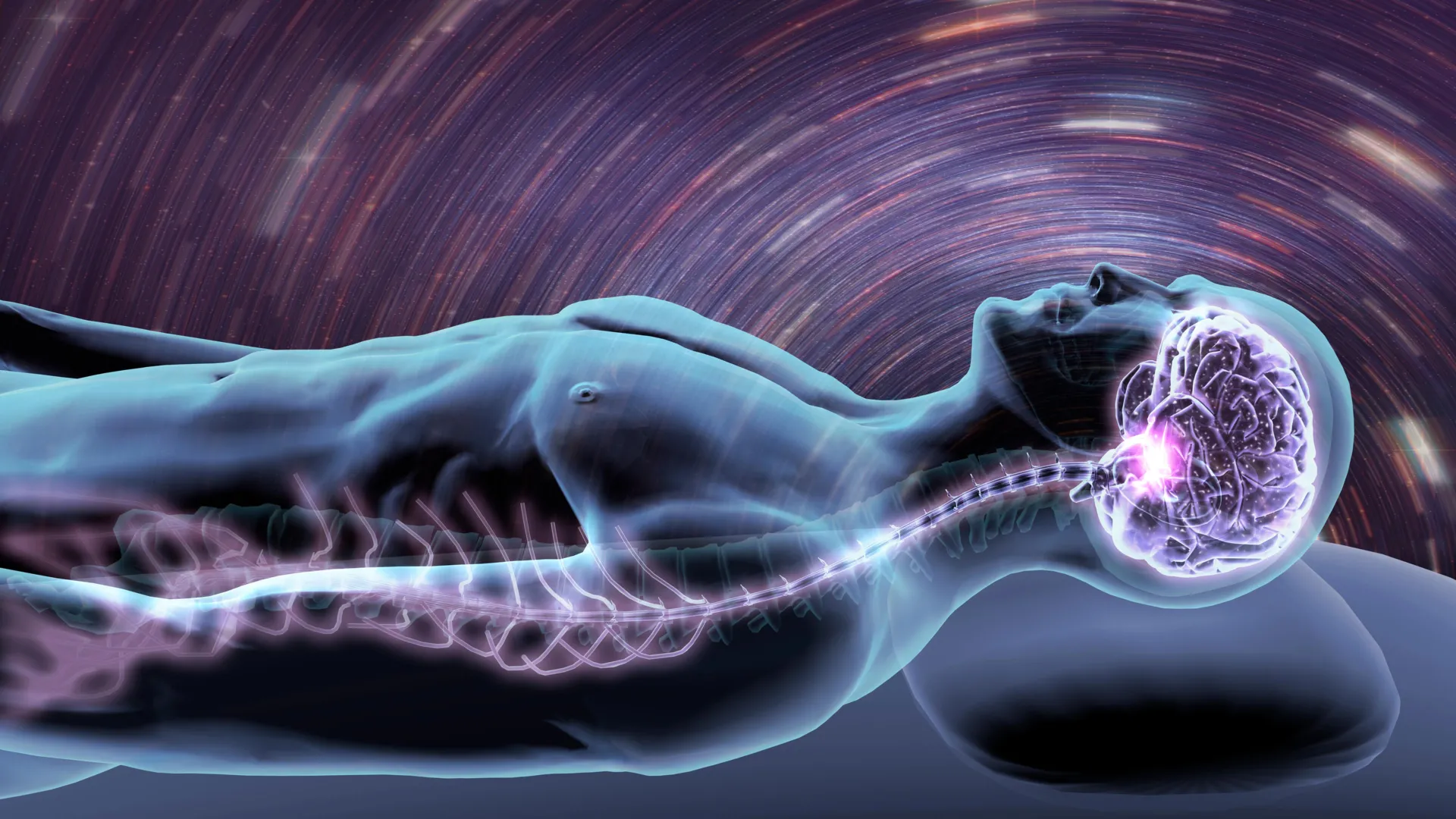 Brain imaging showing sleep and immune cell activation