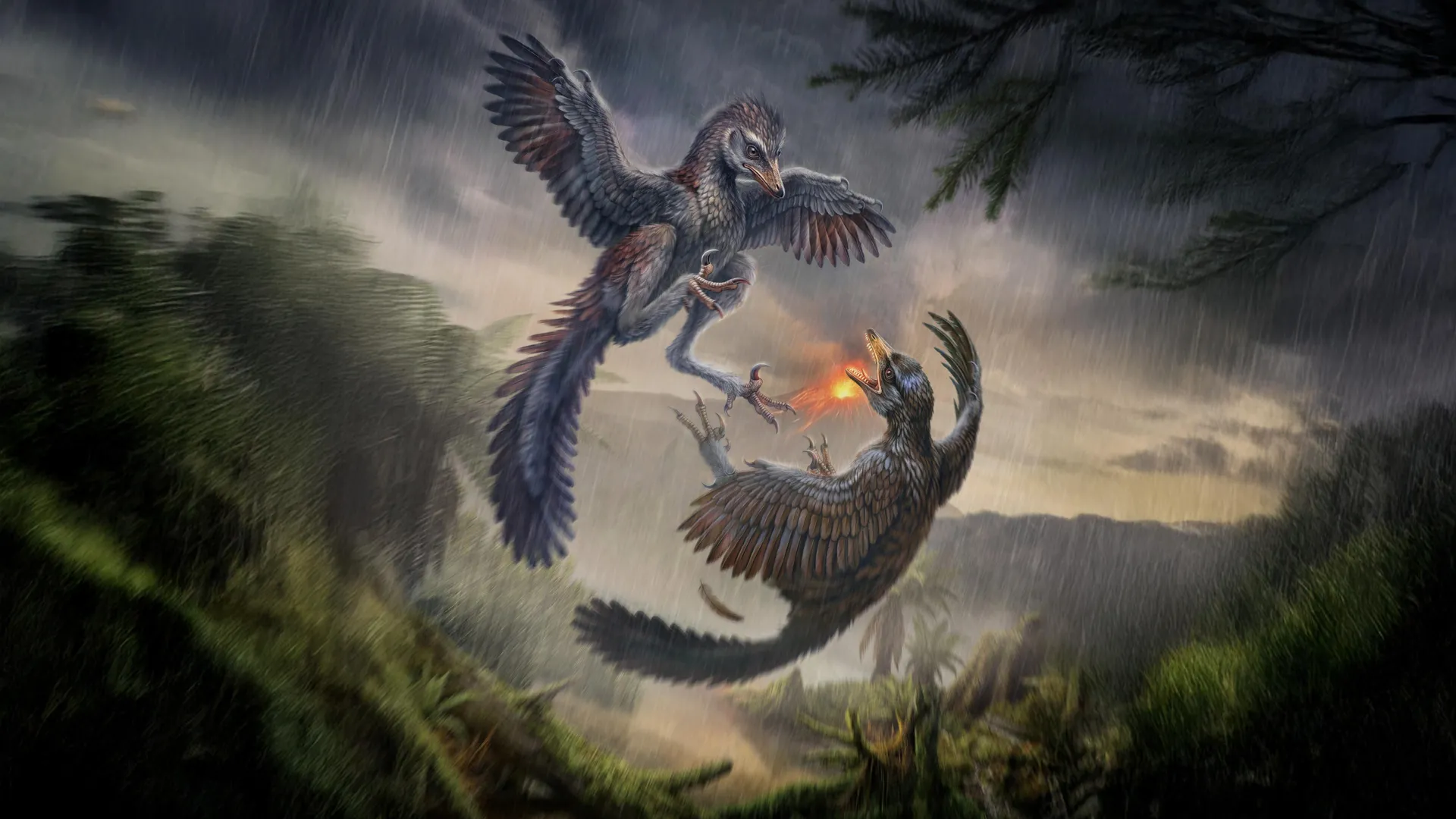 Fossil of Yuezhuornis yangyuanensis showing teeth and claw