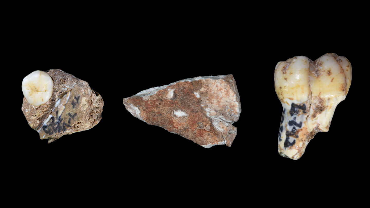 Stone tools and faunal remains from the Denisovan excavation