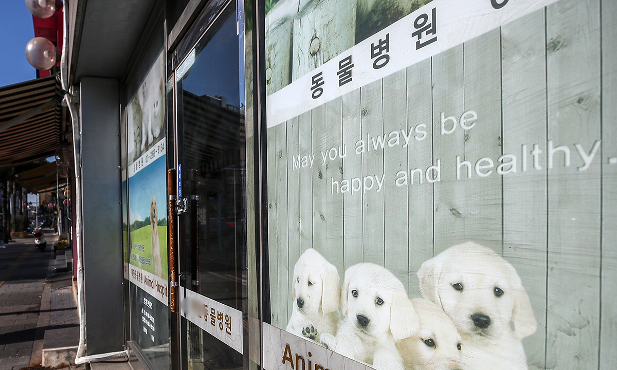 Image from Segye Ilbo article regarding vet fee disparities