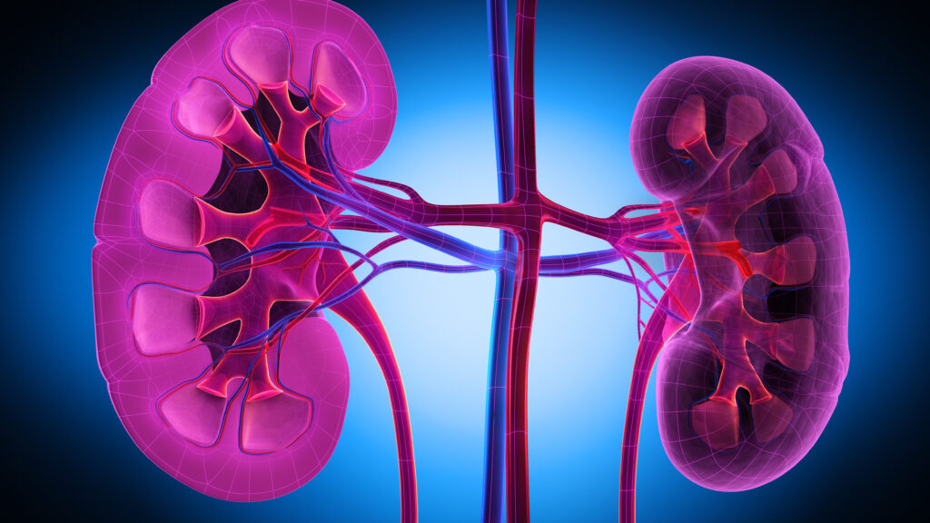 Kidney disease treatment approval