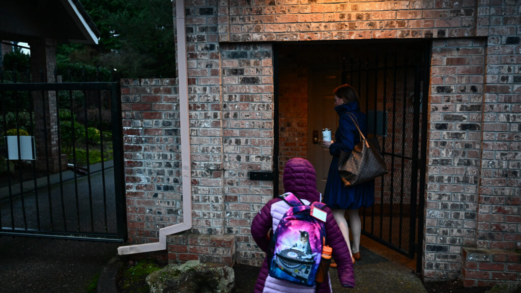 Study examining how socioeconomic factors shape children's brain development over time