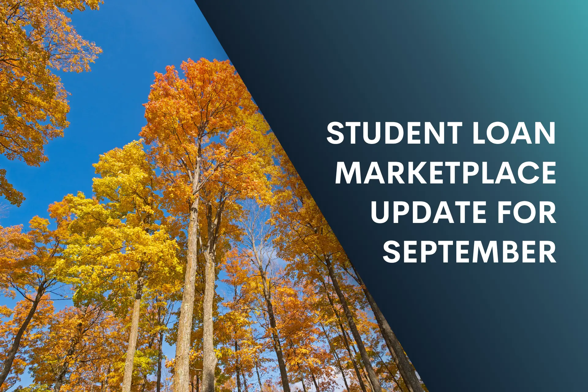 Student loan updates graphic
