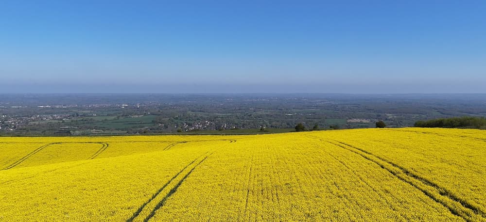 View from the South Downs in Sussex during National Gardening Week 2026