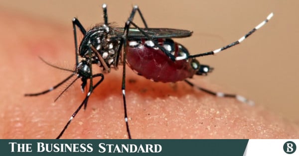 Dengue patient treatment