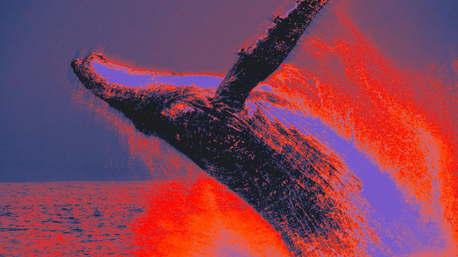 Whale News Illustration