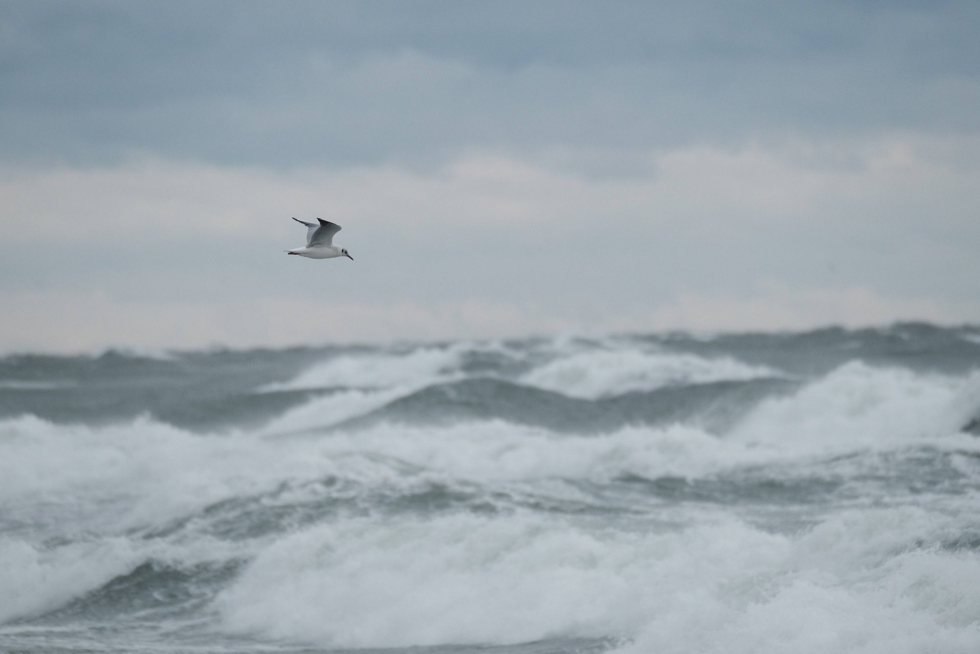 Coastal sea and sea level rise phenomenon under study