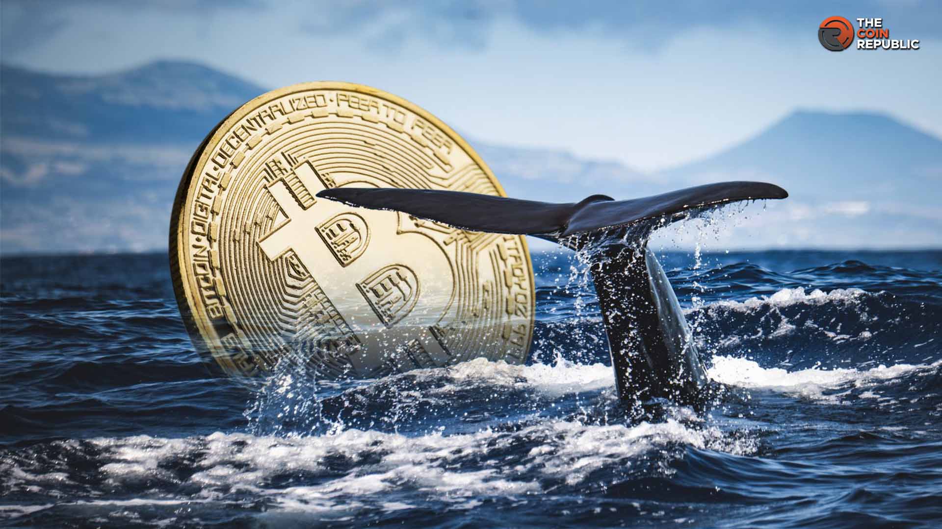 Bitcoin whale accumulation chart showing increased large holder buying